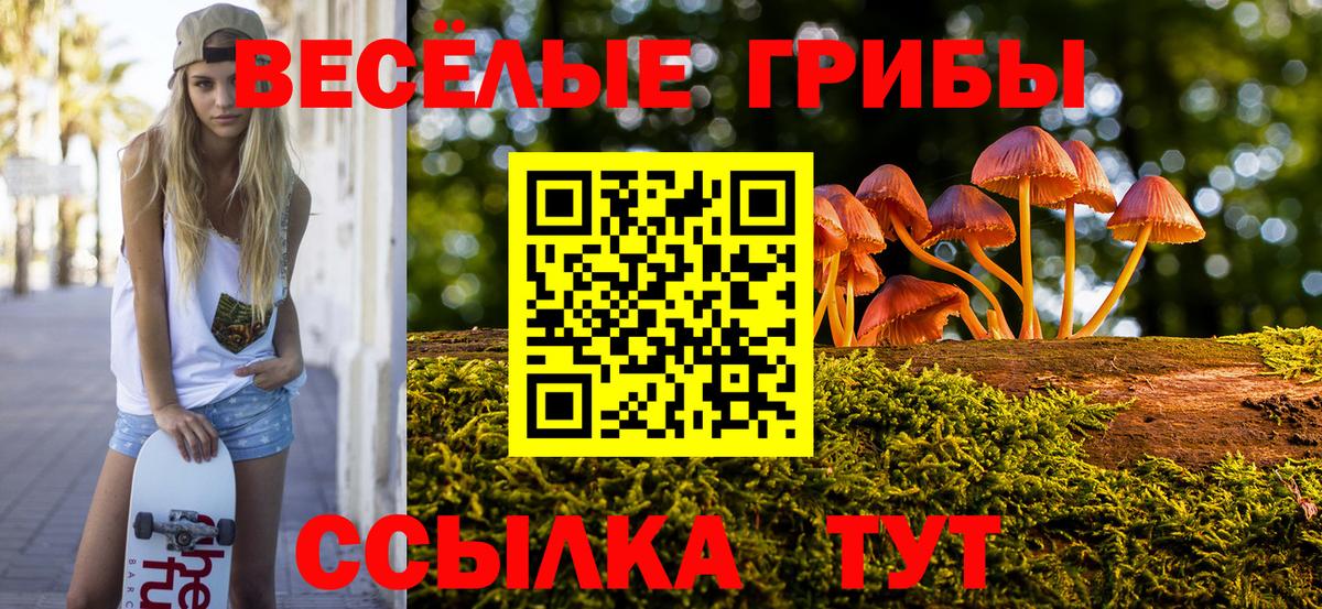 Псилоцибиновые грибы прущие грибы  наркотики  Южноуральск  Вход с VPN 
