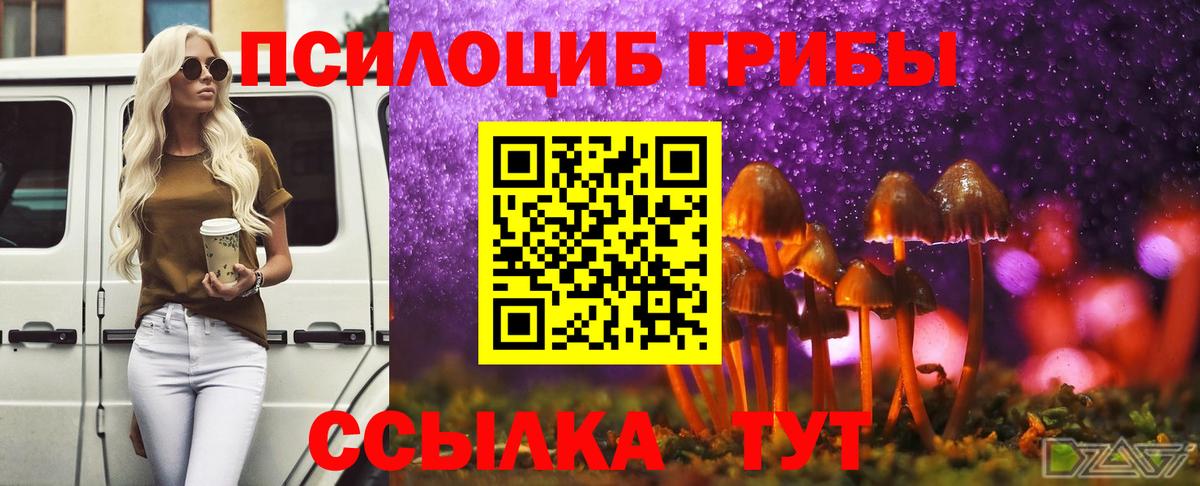 Псилоцибиновые грибы Magic Shrooms Южноуральск